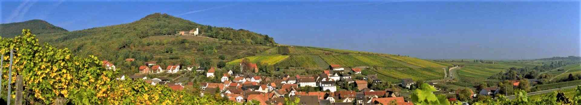 Pfalz - Deutsche Weinstrasse